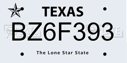 BZ6F393 Texas License Plate