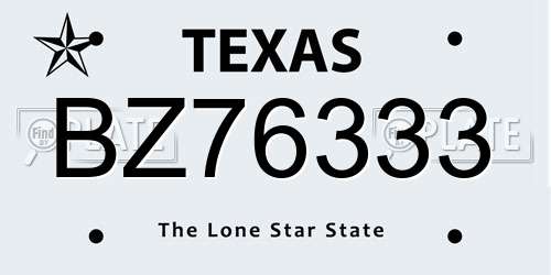 BZ76333 Texas License Plate