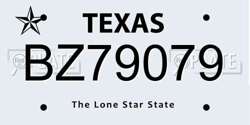 BZ79079 Texas License Plate