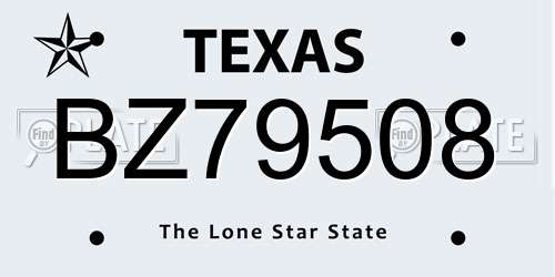 BZ79508 Texas License Plate
