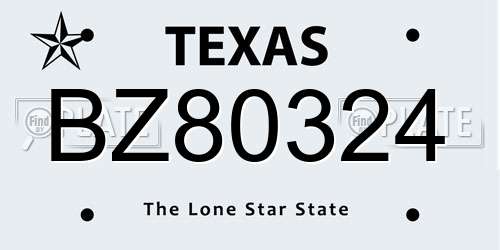 BZ80324 Texas License Plate