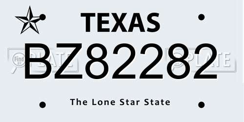 BZ82282 Texas License Plate