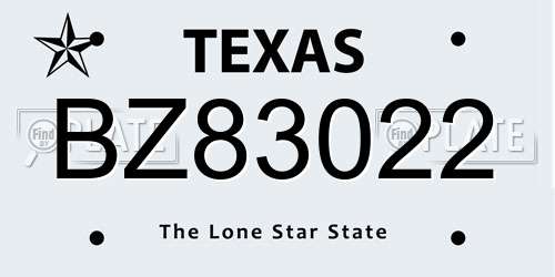 BZ83022 Texas License Plate