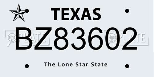 BZ83602 Texas License Plate