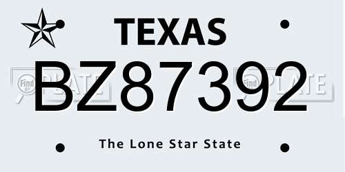 BZ87392 Texas License Plate