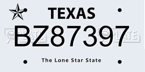 BZ87397 Texas License Plate