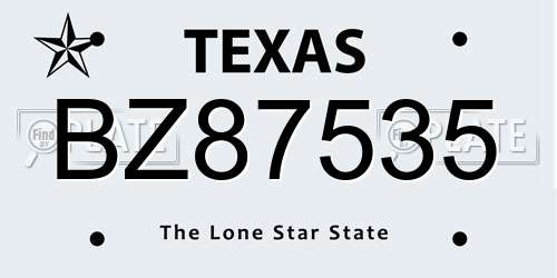 BZ87535 Texas License Plate