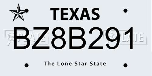 BZ8B291 Texas License Plate
