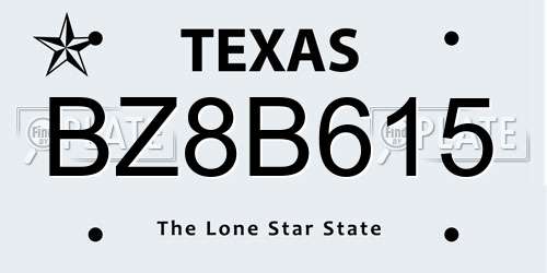 BZ8B615 Texas License Plate