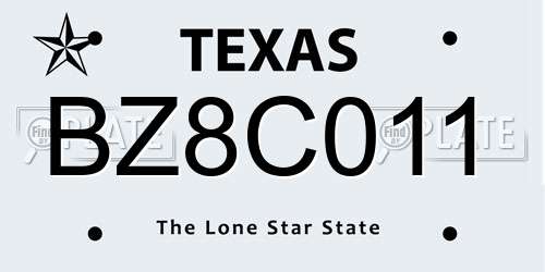 BZ8C011 Texas License Plate