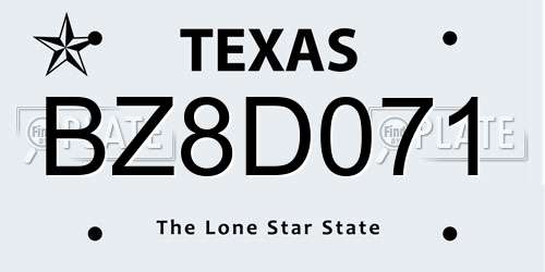 BZ8D071 Texas License Plate