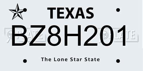 BZ8H201 Texas License Plate