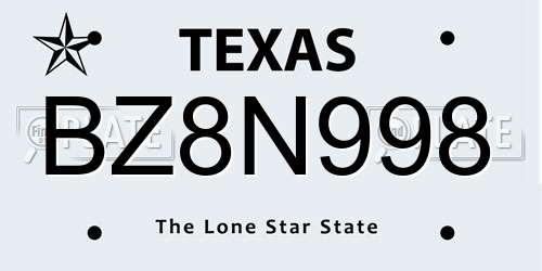 BZ8N998 Texas License Plate