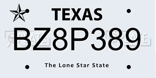 BZ8P389 Texas License Plate