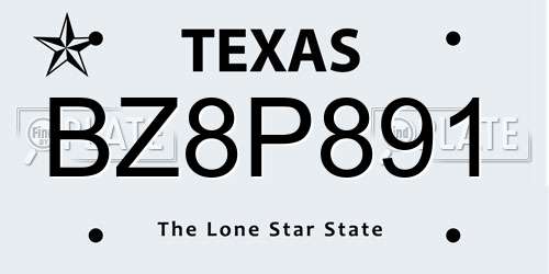 BZ8P891 Texas License Plate