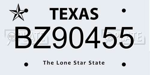 BZ90455 Texas License Plate