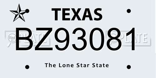 BZ93081 Texas License Plate