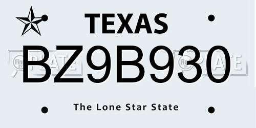 BZ9B930 Texas License Plate