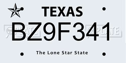 BZ9F341 Texas License Plate