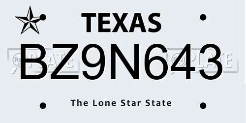 BZ9N643 Texas License Plate