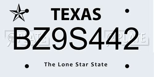 BZ9S442 Texas License Plate