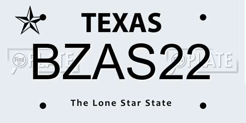 BZAS22 Texas License Plate