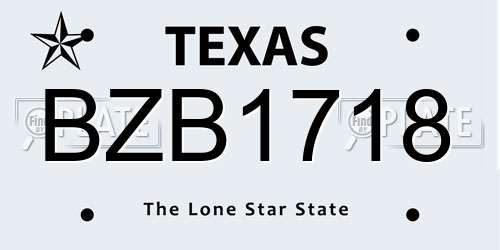 BZB1718 Texas License Plate