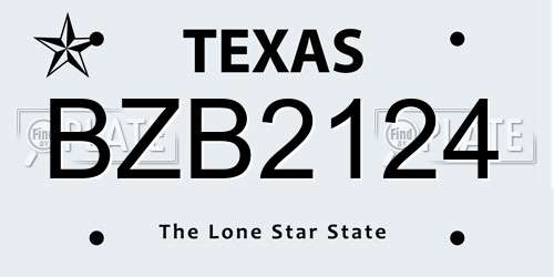 BZB2124 Texas License Plate