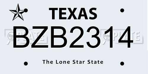 BZB2314 Texas License Plate