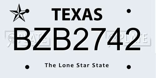 BZB2742 Texas License Plate