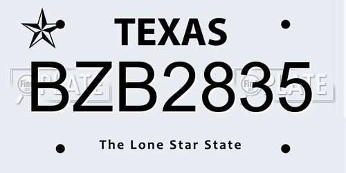 BZB2835 Texas License Plate