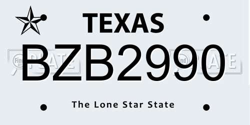 BZB2990 Texas License Plate