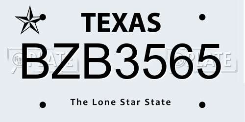BZB3565 Texas License Plate