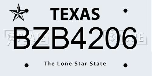 BZB4206 Texas License Plate