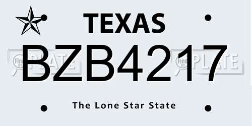 BZB4217 Texas License Plate