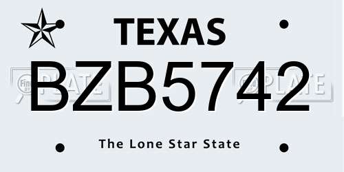 BZB5742 Texas License Plate