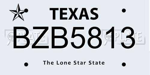 BZB5813 Texas License Plate