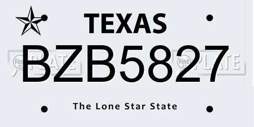 BZB5827 Texas License Plate