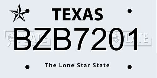BZB7201 Texas License Plate