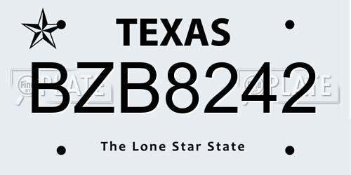 BZB8242 Texas License Plate