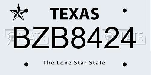 BZB8424 Texas License Plate
