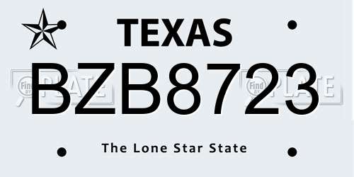 BZB8723 Texas License Plate
