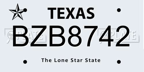 BZB8742 Texas License Plate
