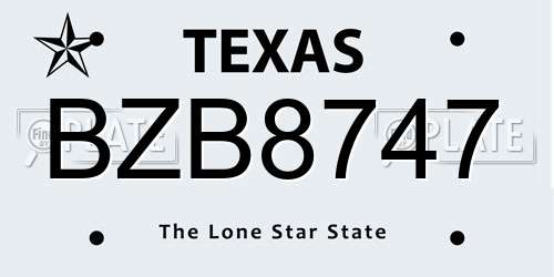 BZB8747 Texas License Plate