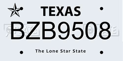 BZB9508 Texas License Plate
