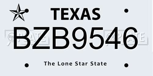 BZB9546 Texas License Plate