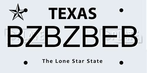 BZBZBEB Texas License Plate