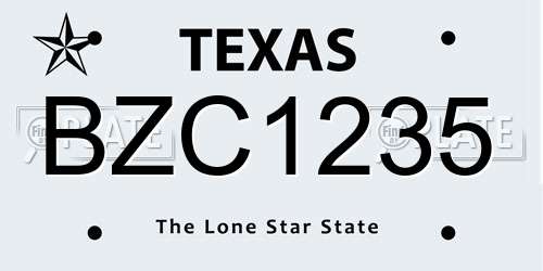BZC1235 Texas License Plate