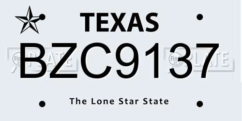 BZC9137 Texas License Plate