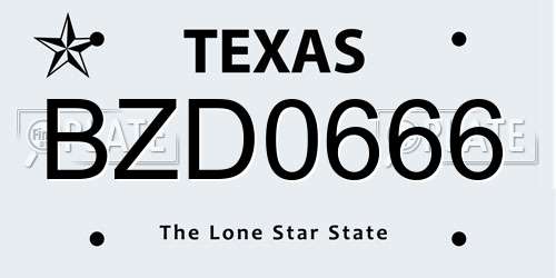 BZD0666 Texas License Plate